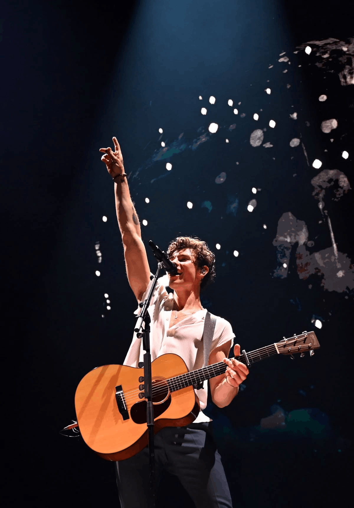 Guitarist